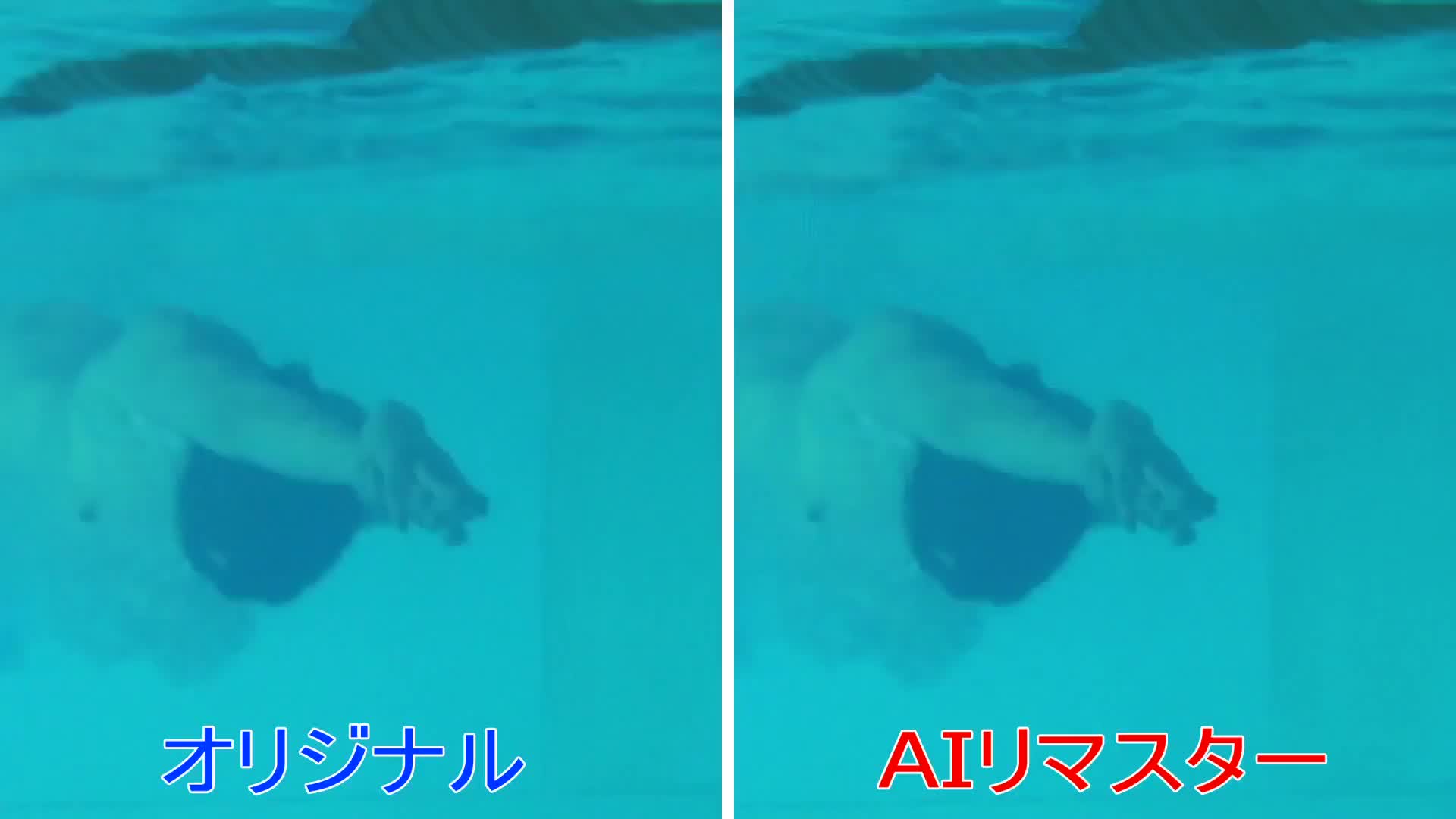 全裸　水泳 